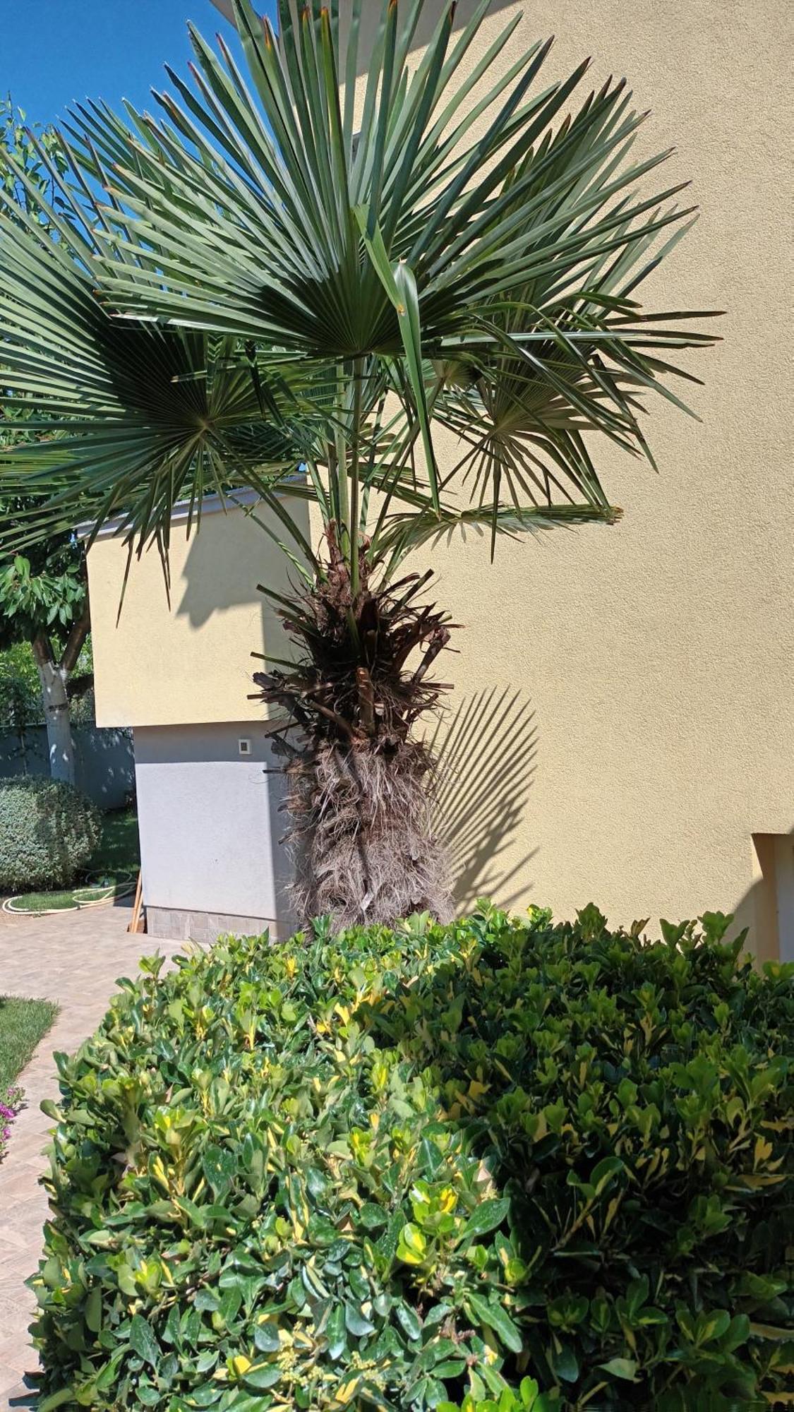 Apartments Monte Magno Πούλα Εξωτερικό φωτογραφία