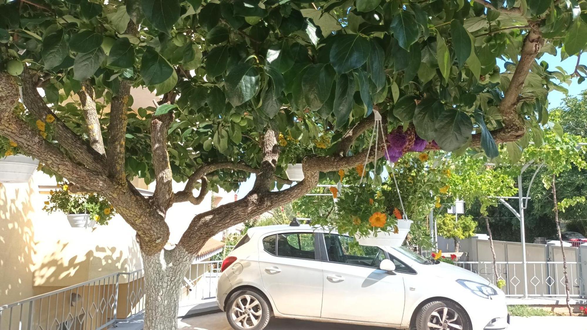 Apartments Monte Magno Πούλα Εξωτερικό φωτογραφία