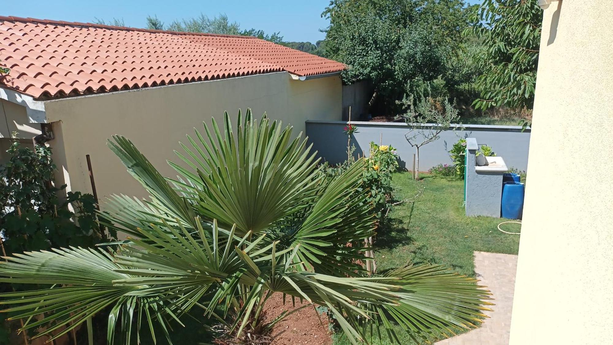 Apartments Monte Magno Πούλα Εξωτερικό φωτογραφία