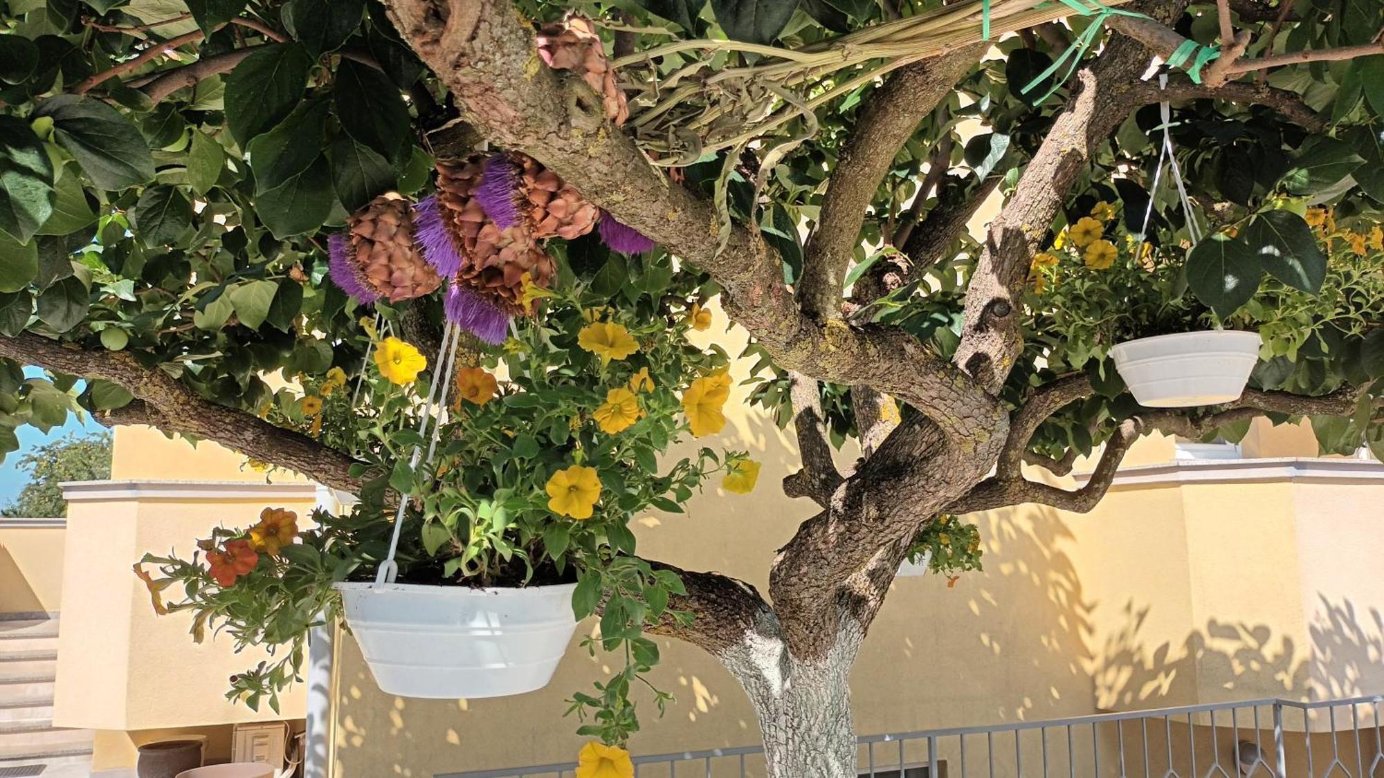 Apartments Monte Magno Πούλα Εξωτερικό φωτογραφία