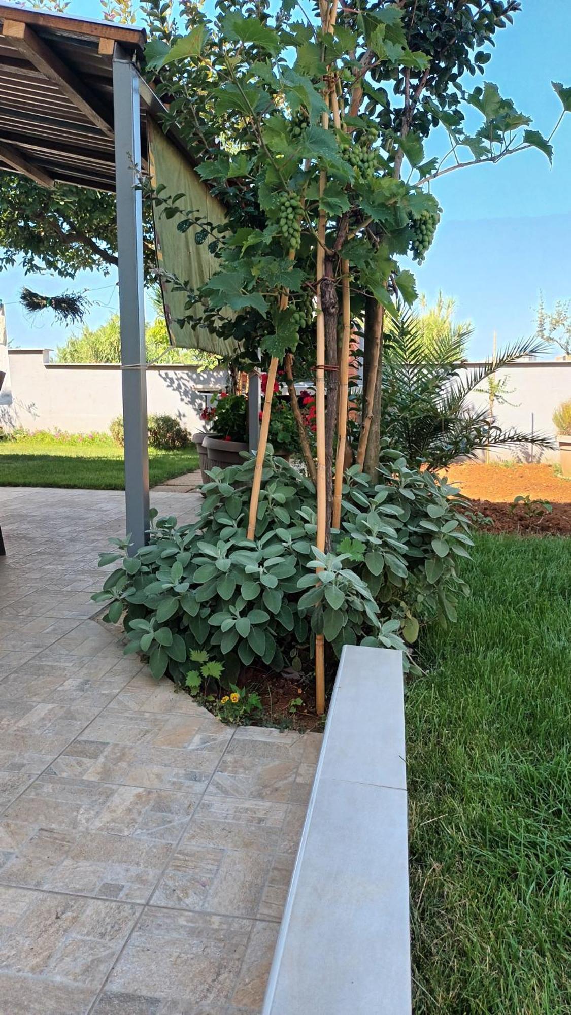 Apartments Monte Magno Πούλα Εξωτερικό φωτογραφία