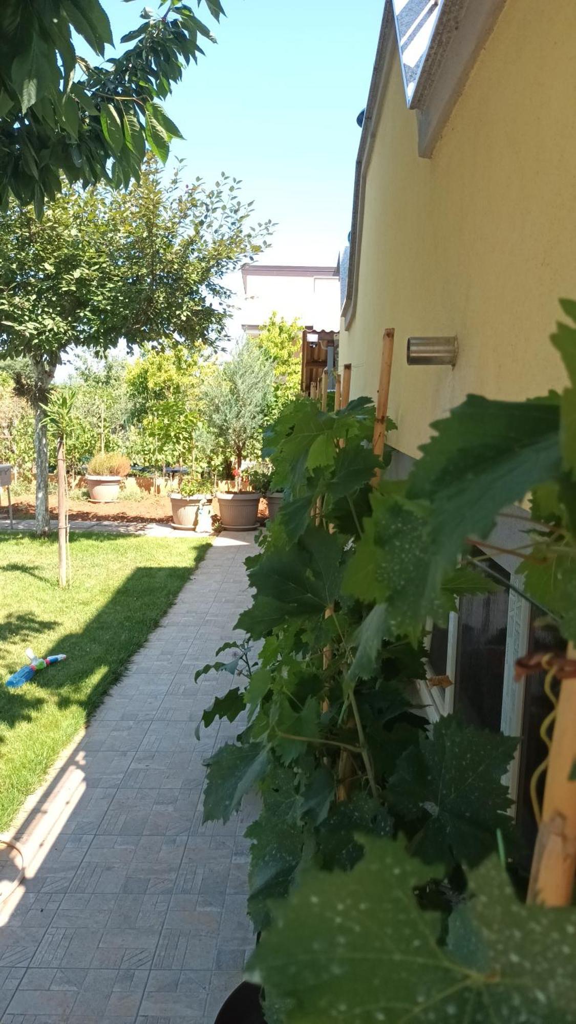 Apartments Monte Magno Πούλα Εξωτερικό φωτογραφία