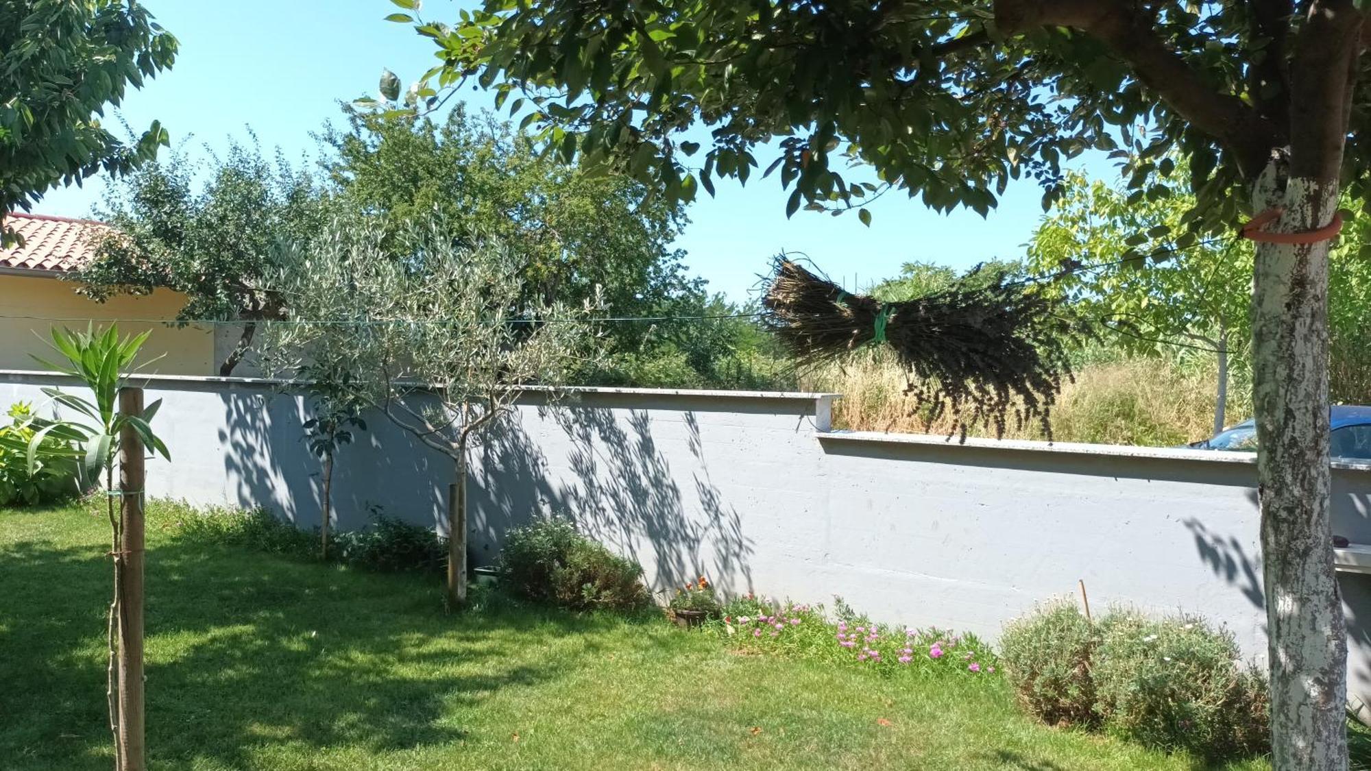 Apartments Monte Magno Πούλα Εξωτερικό φωτογραφία